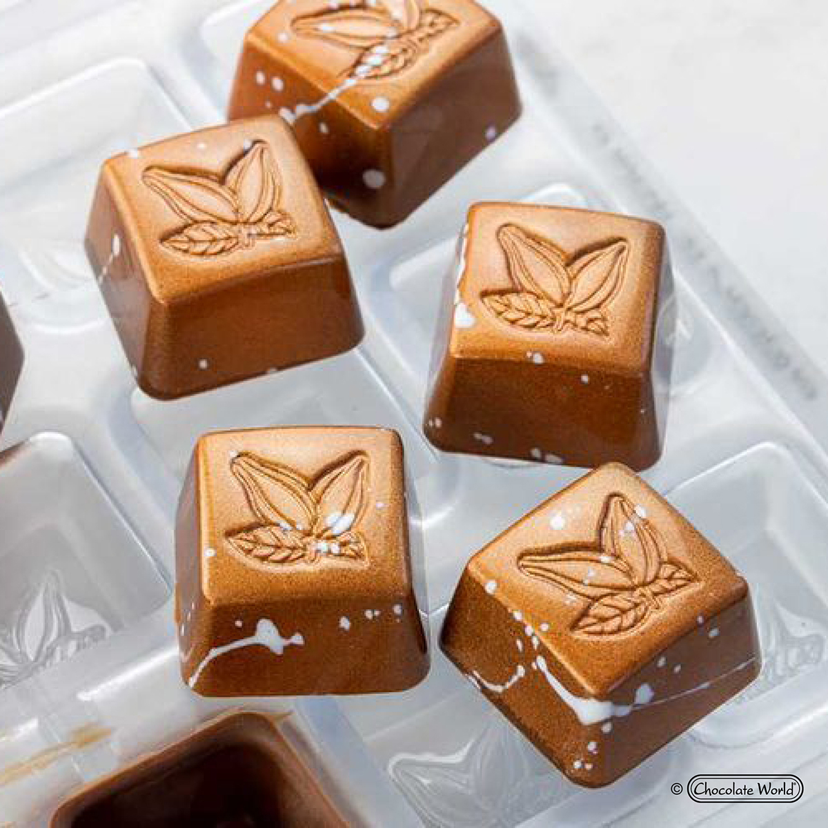 Moule à chocolat tampon cacao carré CW1637 - Chocolate World – Image 4