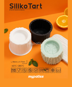 Moule silicone Bento cake v2- SilikoTart
