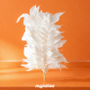 Plume blanche – Grande Plume Blanche Séchée - Marone