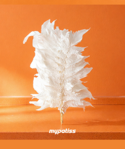 Plume blanche – Grande Plume Blanche Séchée - Marone