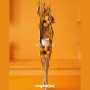 Orange et beige – Bouquet Nature Chaleureuse - Marone