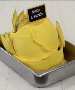 Alternative view of PÂTE DE MANGUE ALPHONSO 3.5kg - Leagel